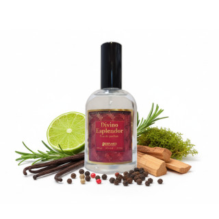 Divino Esplendor 100ml Perfumes Equivalencia - Perfume para hombre